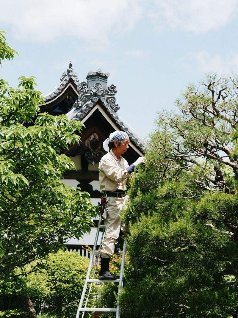 田中 太郎